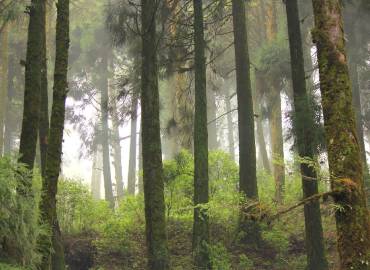 Nature Lover Homestay -Sittong Homestay